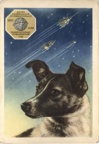 Illustration for article titled That Time Soviet Russia Sent Dogs Into Space